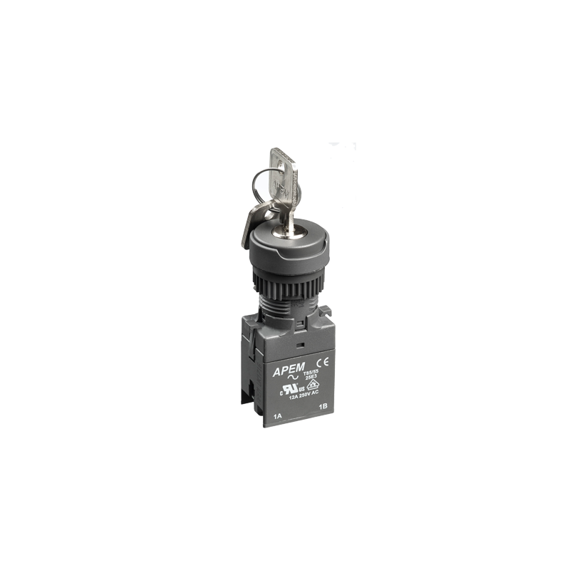 A02 - key and selector switches